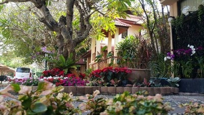 ขอบคุณรูปภาพจาก โรงแรม อารีน่ารีสอร์ท อุตรดิตถ์ - Areena Resort&Hotel Uttaradit