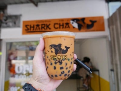 Shark Cha