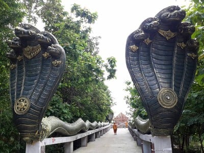 บรรยากาศ วัดป่ากิตติญานุสรณ์
