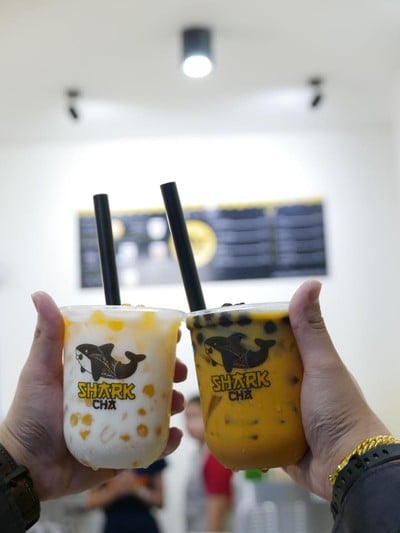 Shark Cha