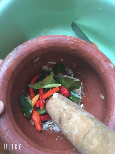 วิธีทำ ไก่อ่อมกระเทียม เด็กหอ วิธีทำ ไก่อ่อมกระเทียม เด็กหอ