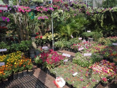 บรรยากาศ ตลาดธนบุรี (สนามหลวง 2)