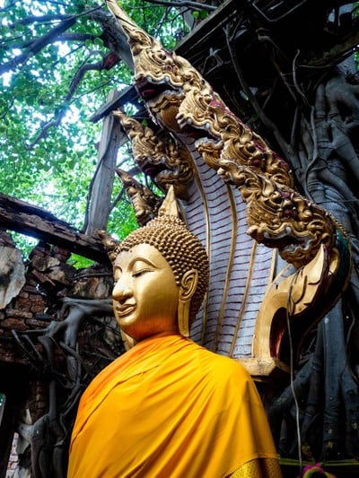 บรรยากาศ วัดสังกระต่าย