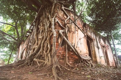 บรรยากาศ วัดสังกระต่าย