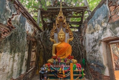 บรรยากาศ วัดสังกระต่าย