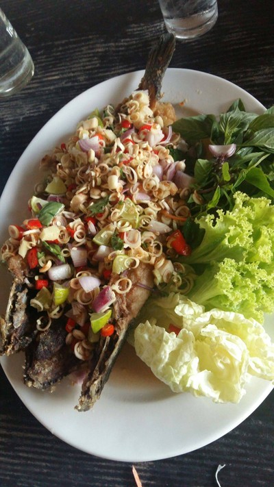 ปลาช่อนลุยสวน