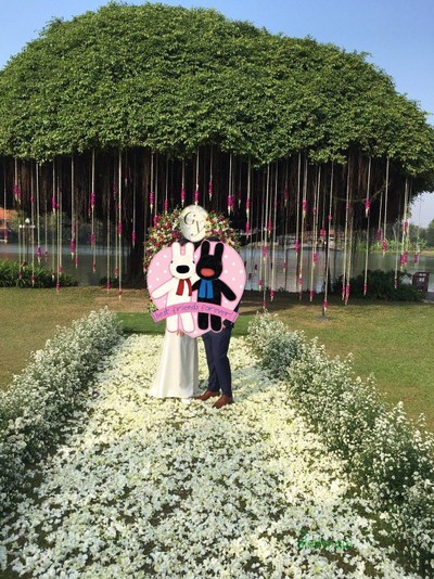 บริเวณโดยรอบ