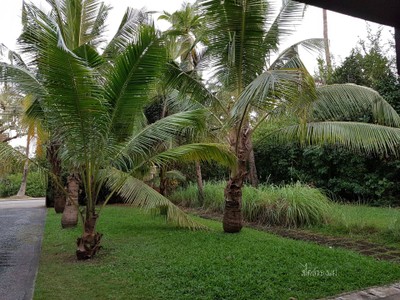 บริเวณโดยรอบ