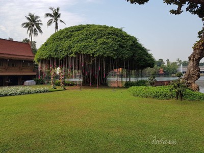 บริเวณโดยรอบ