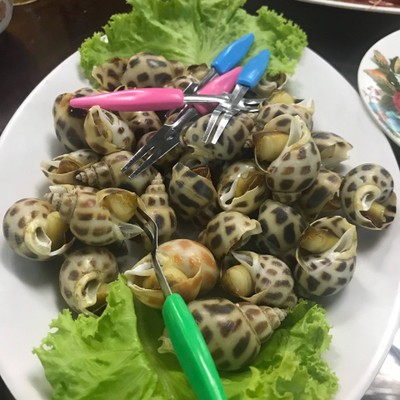 หอยหวานนึ่ง