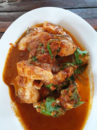 ปลาฉู่ฉี่