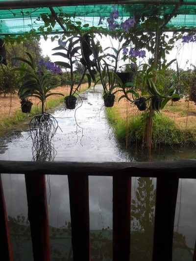 บรรยากาศ