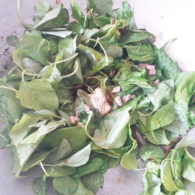 วิธีทำ ผัดผักขมจีนใส่หมู วิธีทำ ผัดผักขมจีนใส่หมู