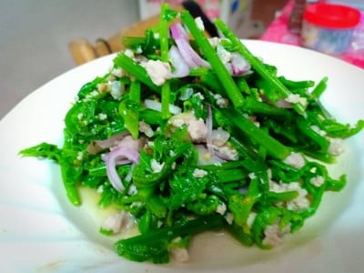 วิธีทำ ยำผักกูด วิธีทำ ยำผักกูด