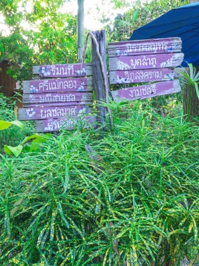 บริเวณโดยรอบ