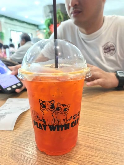 เมนูของร้าน Chill cat cafe - กาแฟสด เพชรเกษม110
