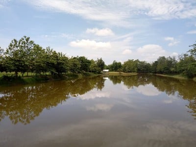 บ้านสวนชีวาสราญ รีสอร์ท & ฟิชชิ่งปาร์ค