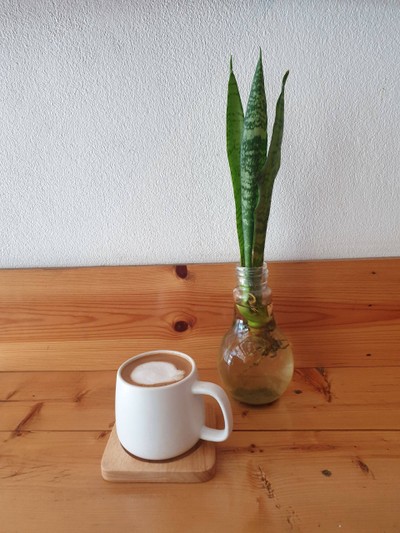 Hot Latté