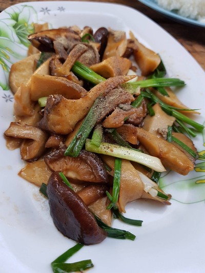 เห็ดหอยน้ำมันหอย