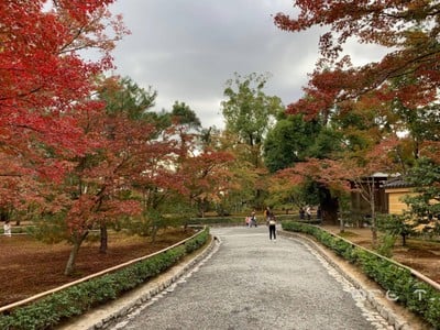 บรรยากาศ Kinkakuji Temple