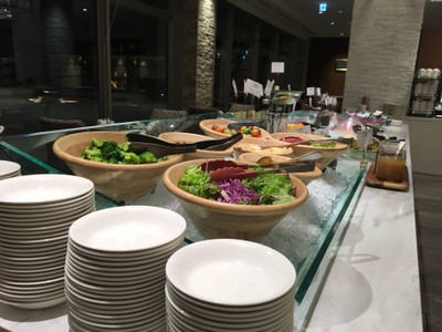 ANA Crown Plaza chitose