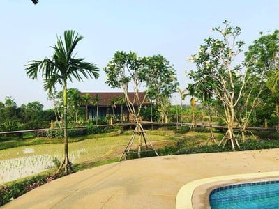 วิวนอกห้อง