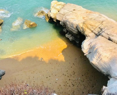 กินลม ชมวิว กะเทาะหอย ดูปะการัง เกาะกวางจันทบุรี 