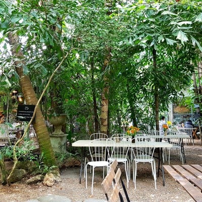 บรรยากาศ Little Tree Garden