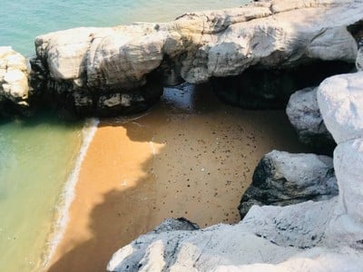 กินลม ชมวิว กะเทาะหอย ดูปะการัง เกาะกวางจันทบุรี 