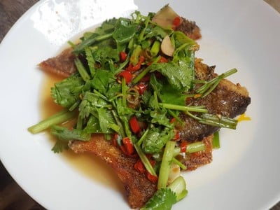 วิธีทำ ยำปลาสลิดทอดกรอบ วิธีทำ ยำปลาสลิดทอดกรอบ