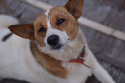 วิวนอกห้อง