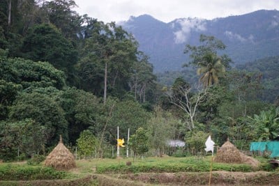 วิวนอกห้อง