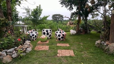 เคียงของรีสอร์ท