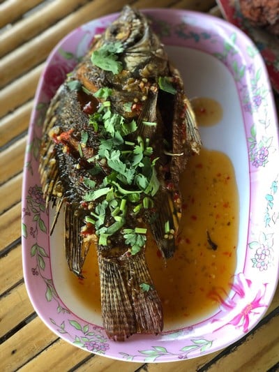 2 วัน 1 คืน ท่องเที่ยวเชิงอนุรักษ์ที่บ้านขุนสมุทรจีน