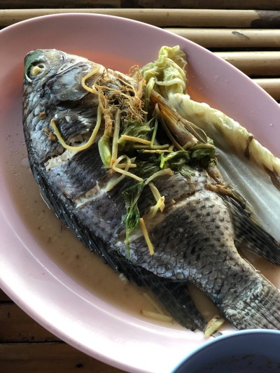 2 วัน 1 คืน ท่องเที่ยวเชิงอนุรักษ์ที่บ้านขุนสมุทรจีน