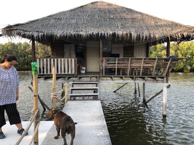 2 วัน 1 คืน ท่องเที่ยวเชิงอนุรักษ์ที่บ้านขุนสมุทรจีน