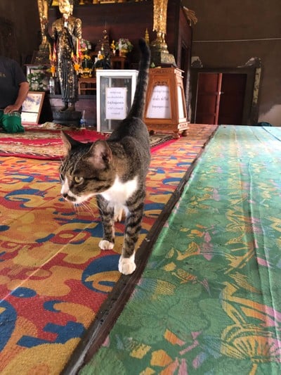 2 วัน 1 คืน ท่องเที่ยวเชิงอนุรักษ์ที่บ้านขุนสมุทรจีน