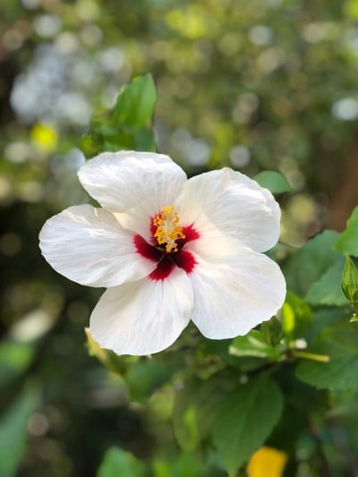 2 วัน 1 คืน ท่องเที่ยวเชิงอนุรักษ์ที่บ้านขุนสมุทรจีน