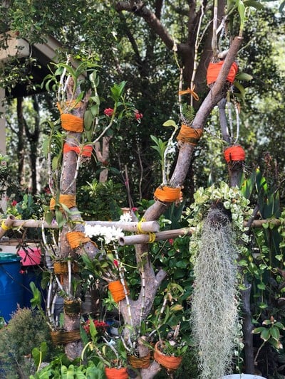 2 วัน 1 คืน ท่องเที่ยวเชิงอนุรักษ์ที่บ้านขุนสมุทรจีน