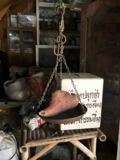 2 วัน 1 คืน ท่องเที่ยวเชิงอนุรักษ์ที่บ้านขุนสมุทรจีน