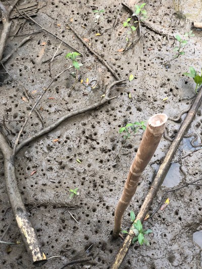 2 วัน 1 คืน ท่องเที่ยวเชิงอนุรักษ์ที่บ้านขุนสมุทรจีน