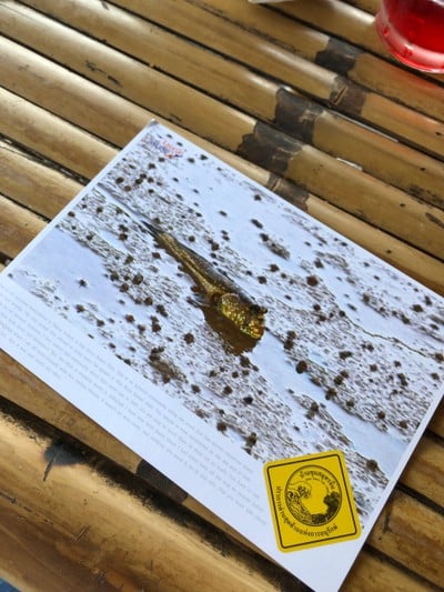 2 วัน 1 คืน ท่องเที่ยวเชิงอนุรักษ์ที่บ้านขุนสมุทรจีน