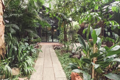 1วันกับ 7คาเฟ่เชียงราย