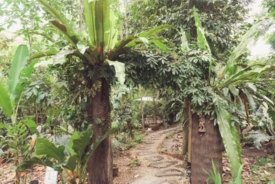 1วันกับ 7คาเฟ่เชียงราย