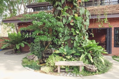 1วันกับ 7คาเฟ่เชียงราย