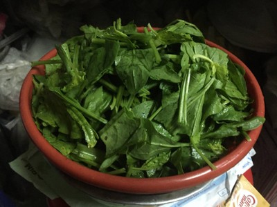 วิธีทำ ปวยเล้งผัดกระเทียม วิธีทำ ปวยเล้งผัดกระเทียม