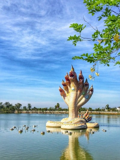 บรรยากาศ วัดบ้านไร่