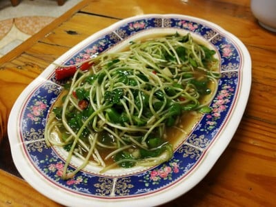 ผัดยอดอ่อนทานตะวัน