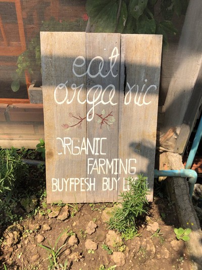 เชียงใหม่ สัมผัสแม่กำปอง 3 วัน 2 คืน 