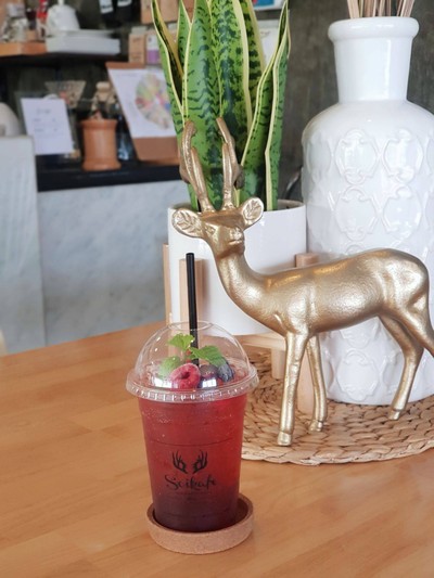 ไวด์เบอรี่โซดา